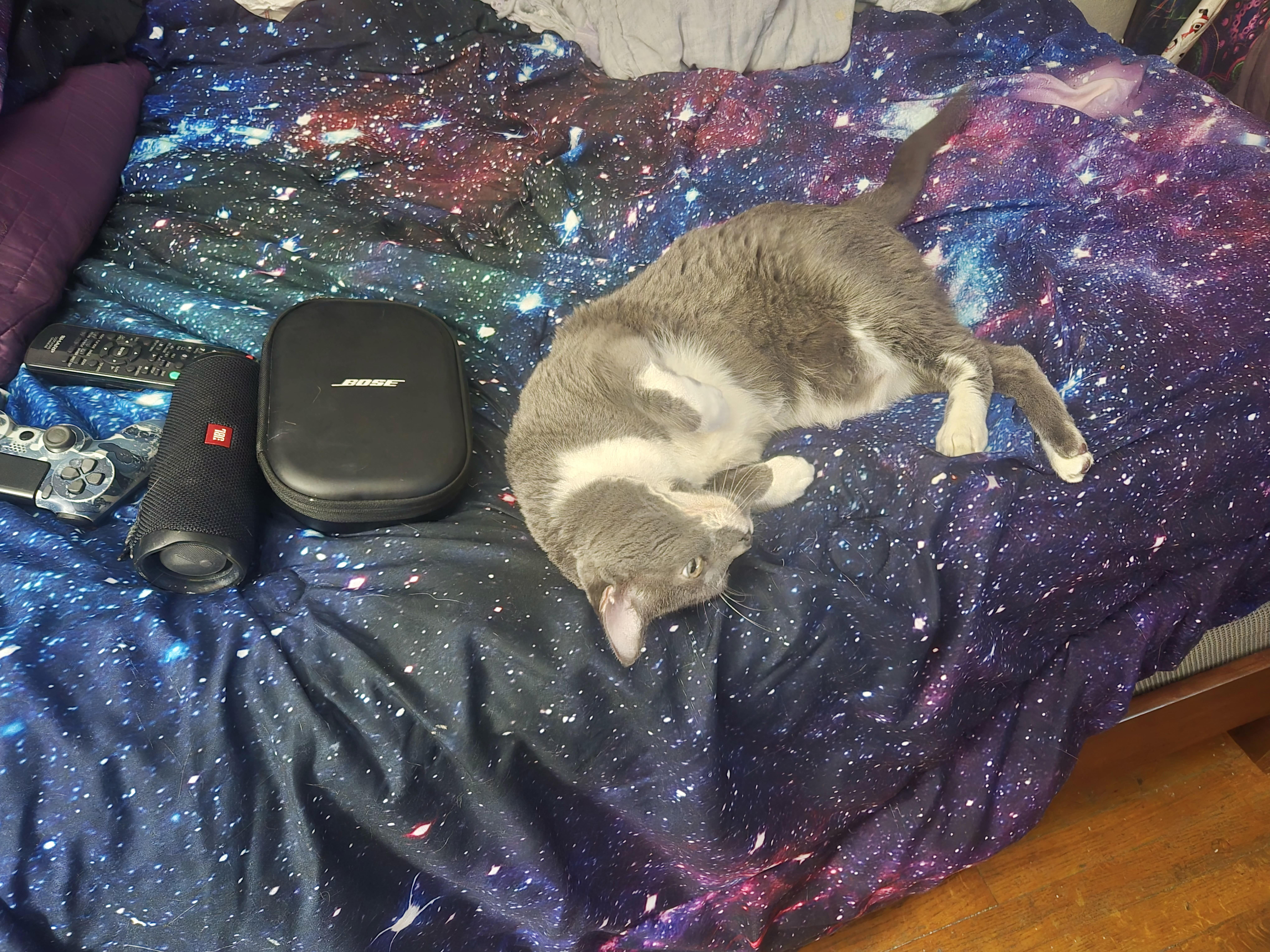 Gioowner Passed Away thumbnail 4