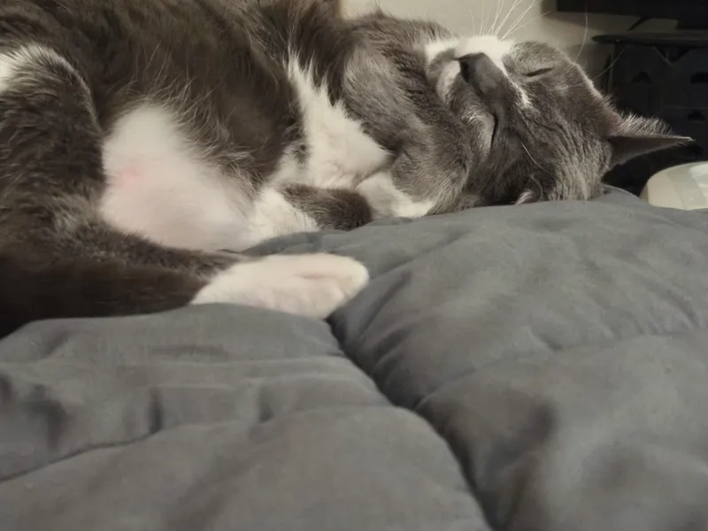 Gioowner Passed Away thumbnail 5