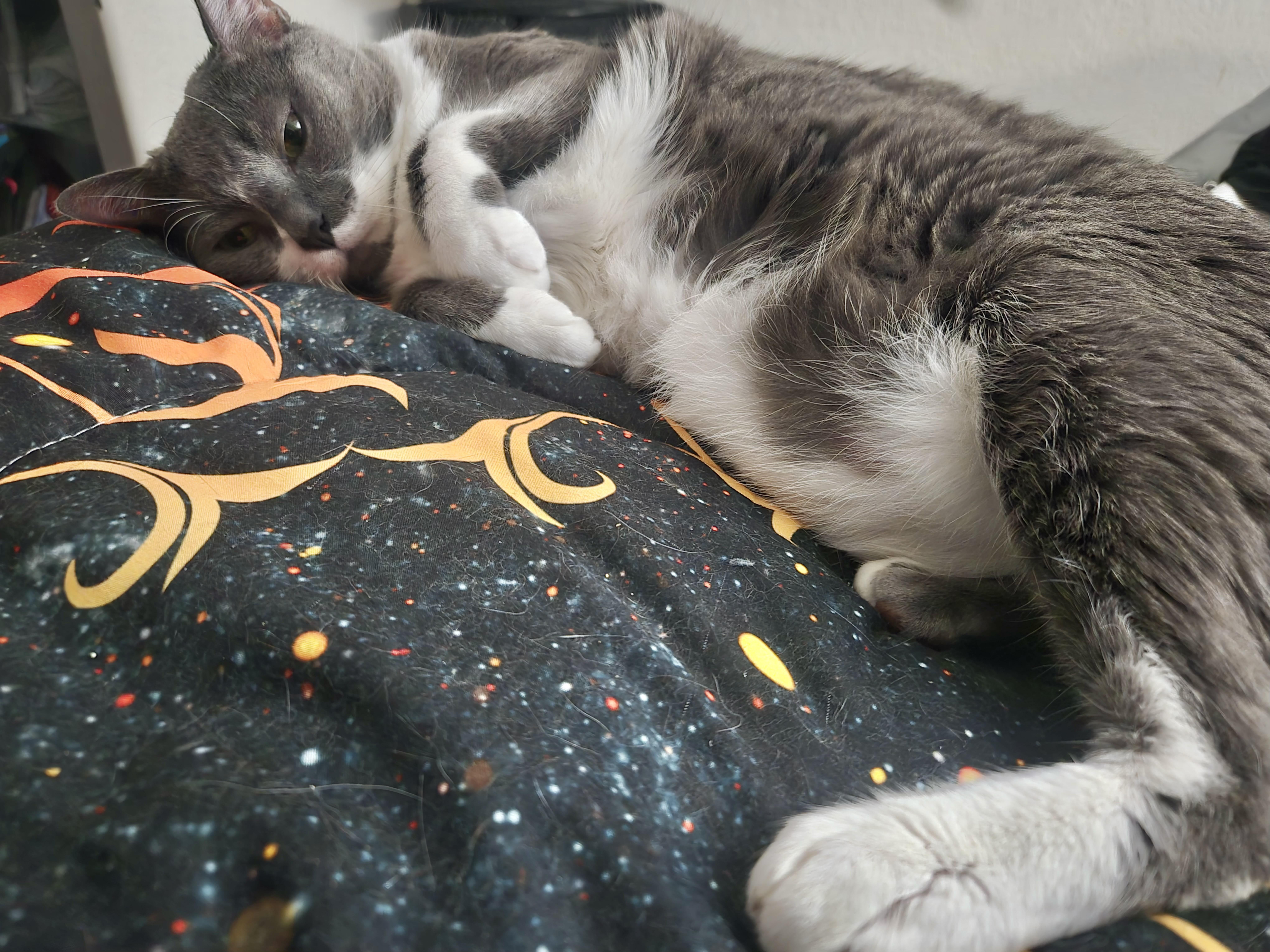 Gioowner Passed Away thumbnail 6