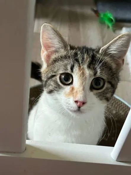 Ivie & Lucie thumbnail 2