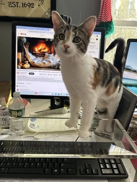 Ivie & Lucie thumbnail 3