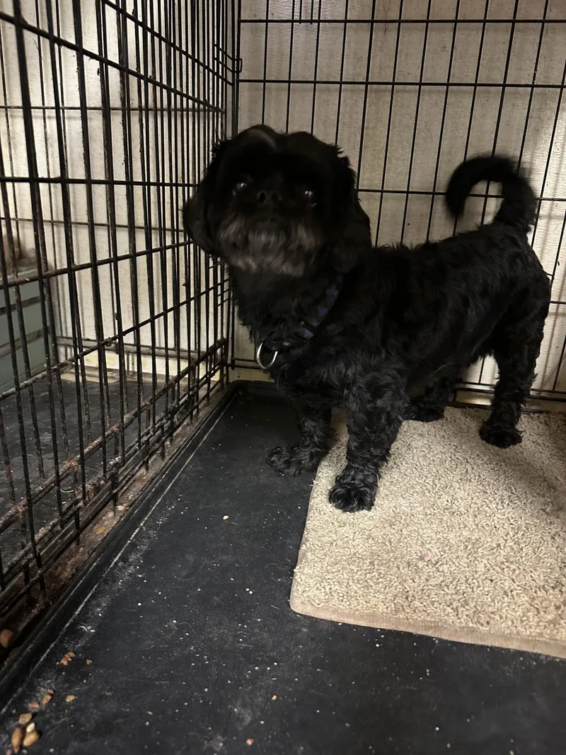 Paddington thumbnail 2