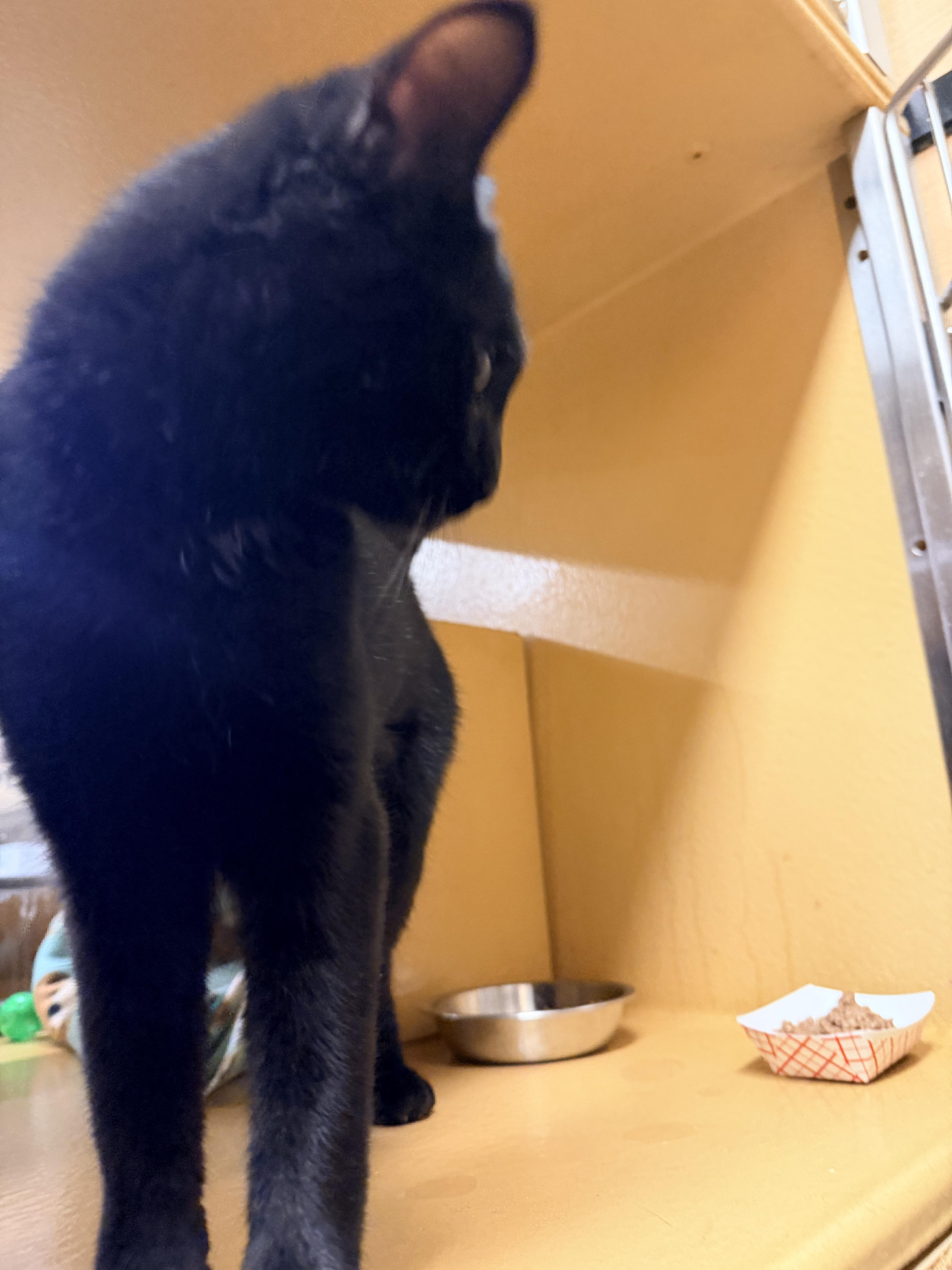 Sapphire thumbnail 3