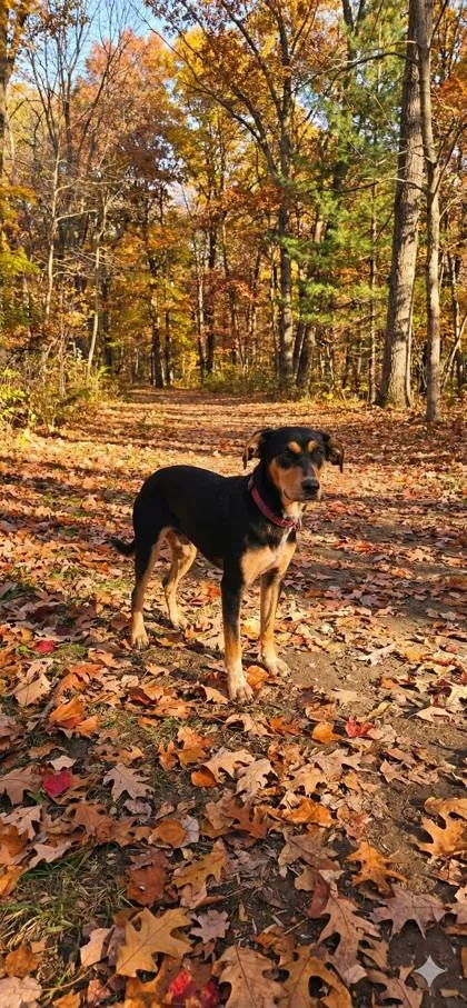 Veronica thumbnail 2