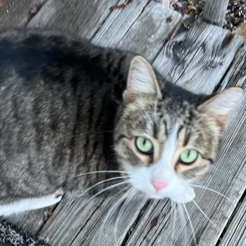 Found Nw Rochester thumbnail 2