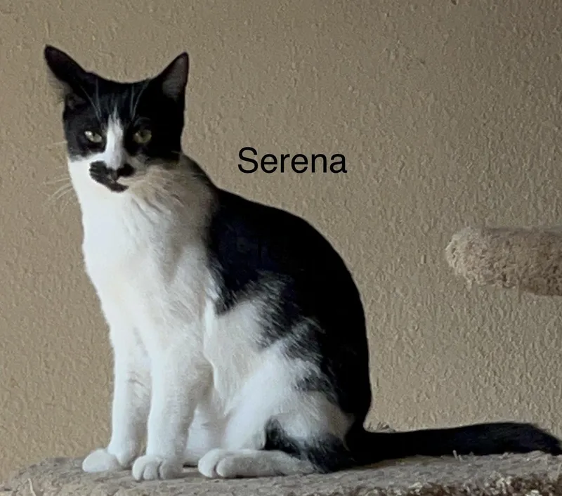 Serena thumbnail 2