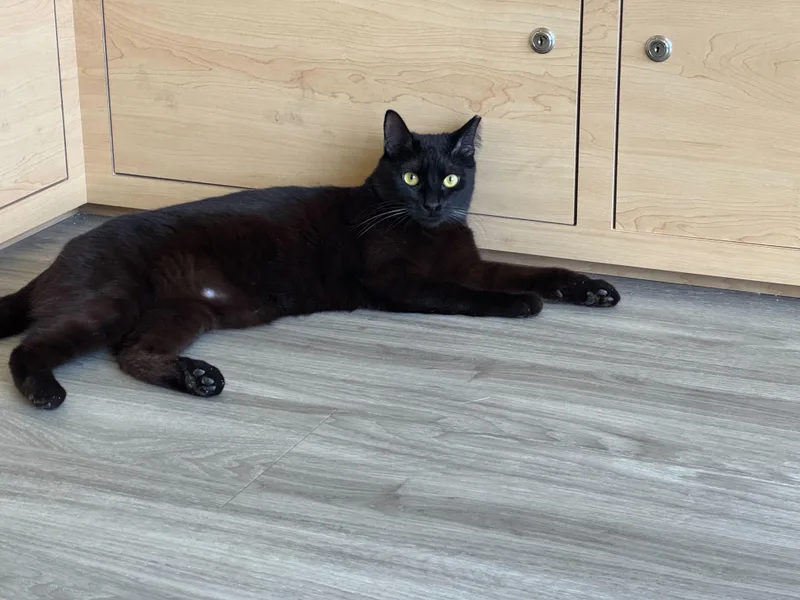 Frederick thumbnail 2