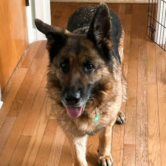 Tundra