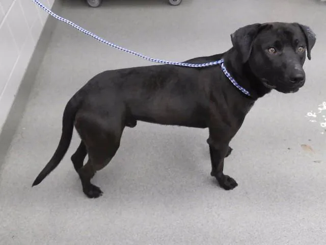 Jackson