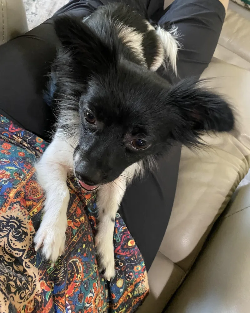 Eloise