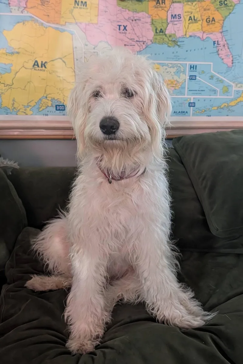 Fiona