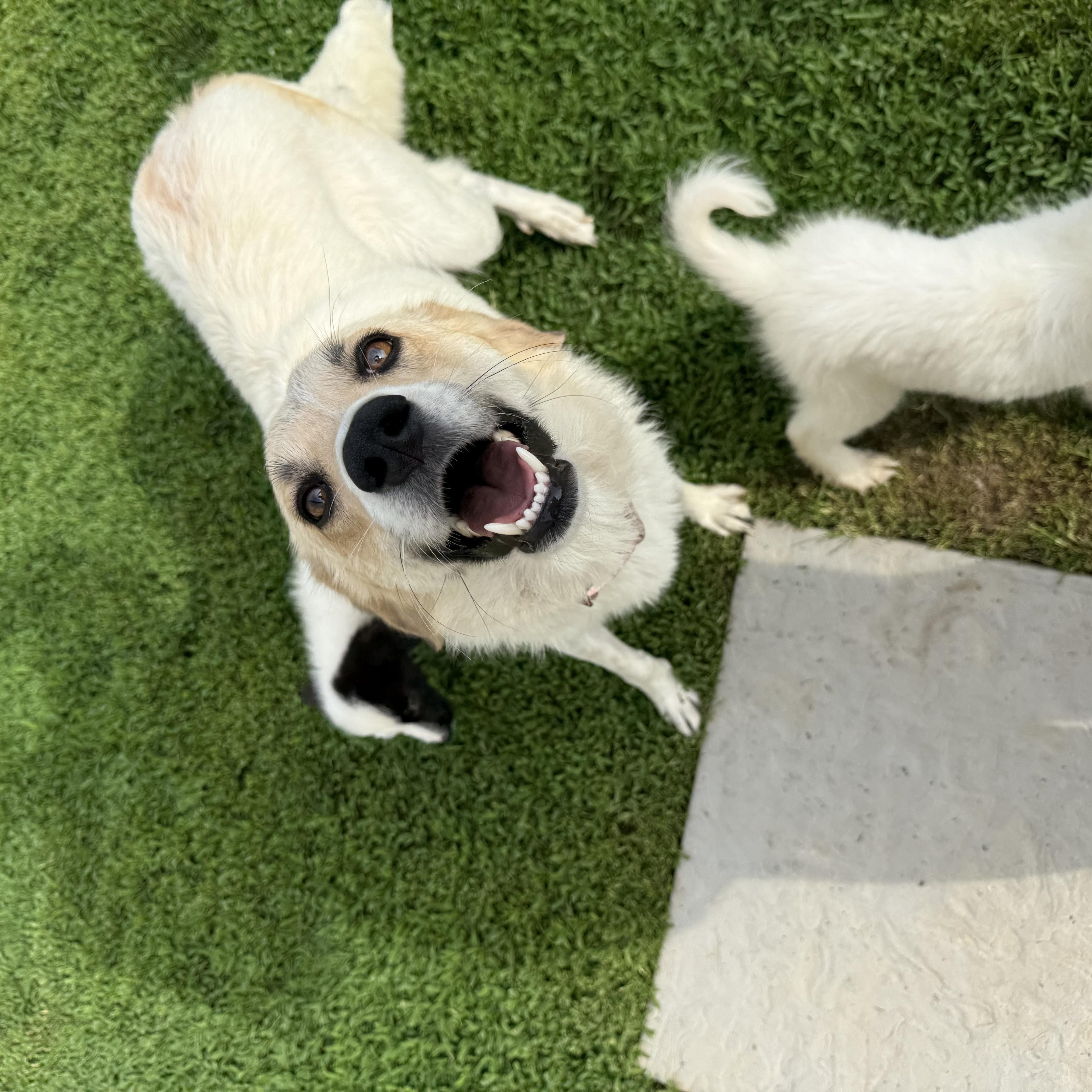 Heidi thumbnail 3