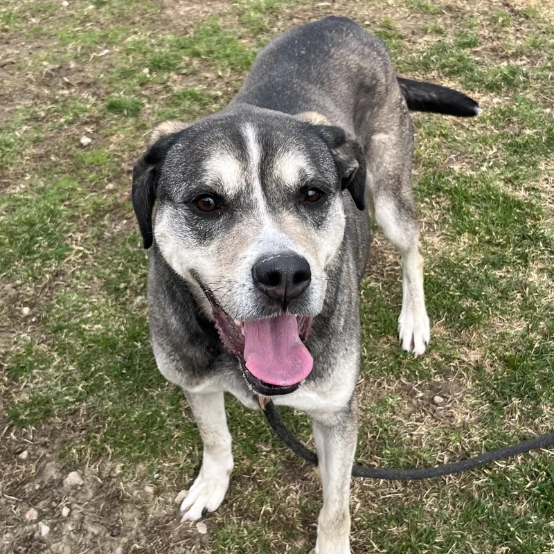 Nala Aka Venus thumbnail 2