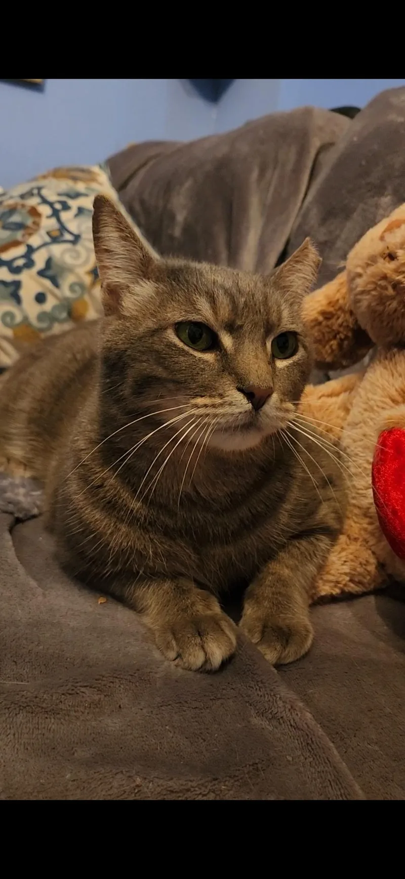 Penelope thumbnail 3