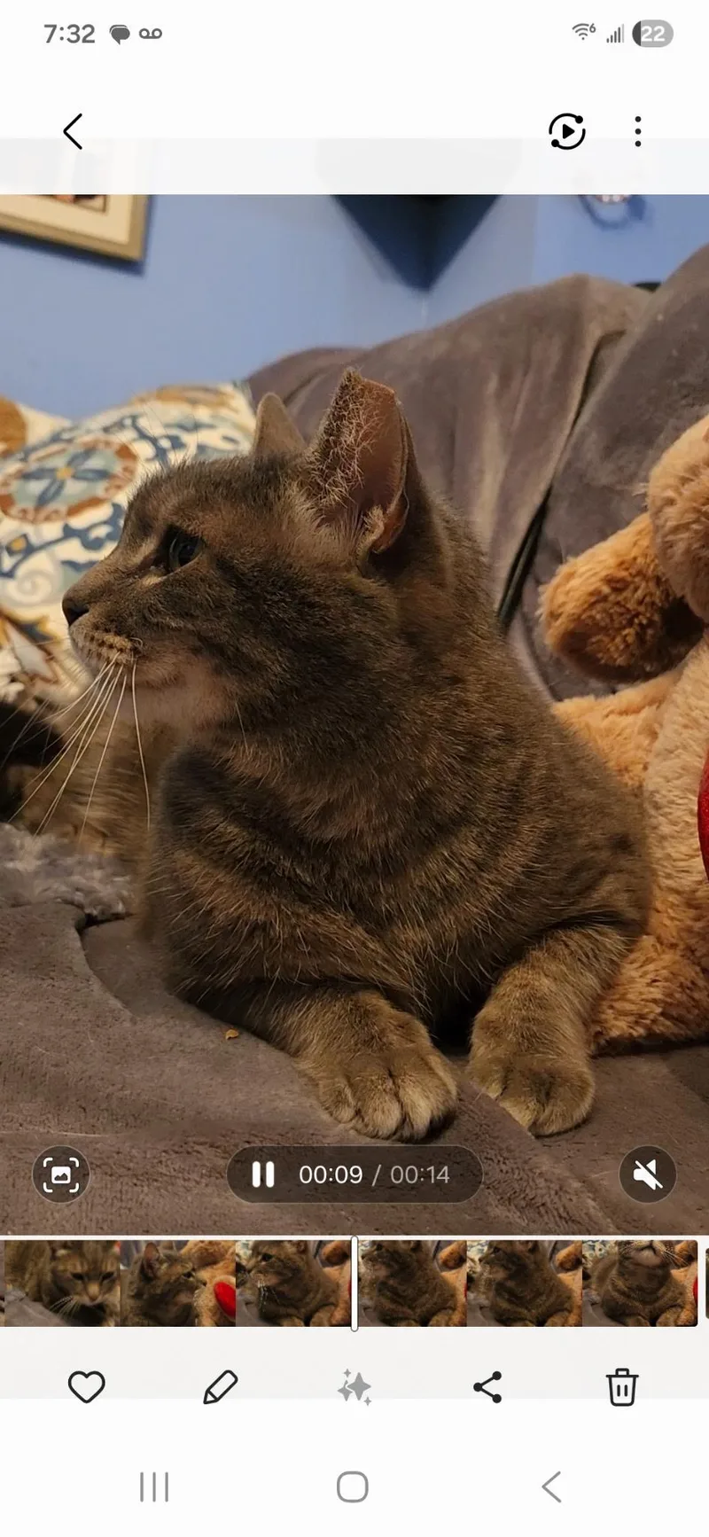 Penelope thumbnail 4