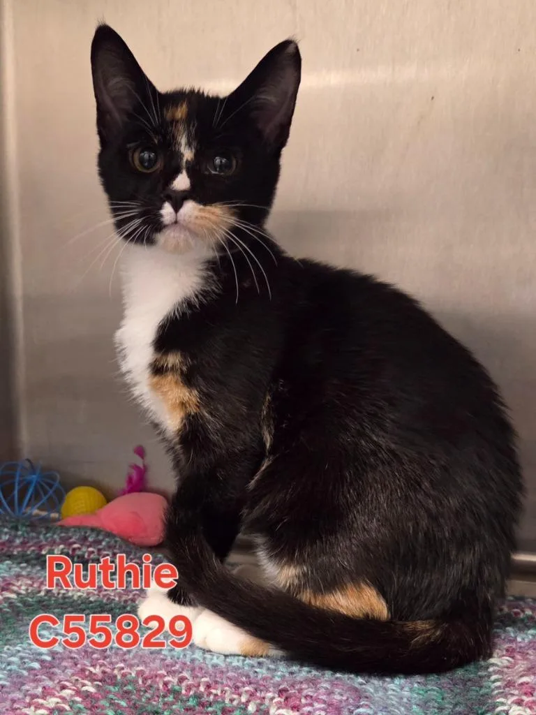 Ruthie