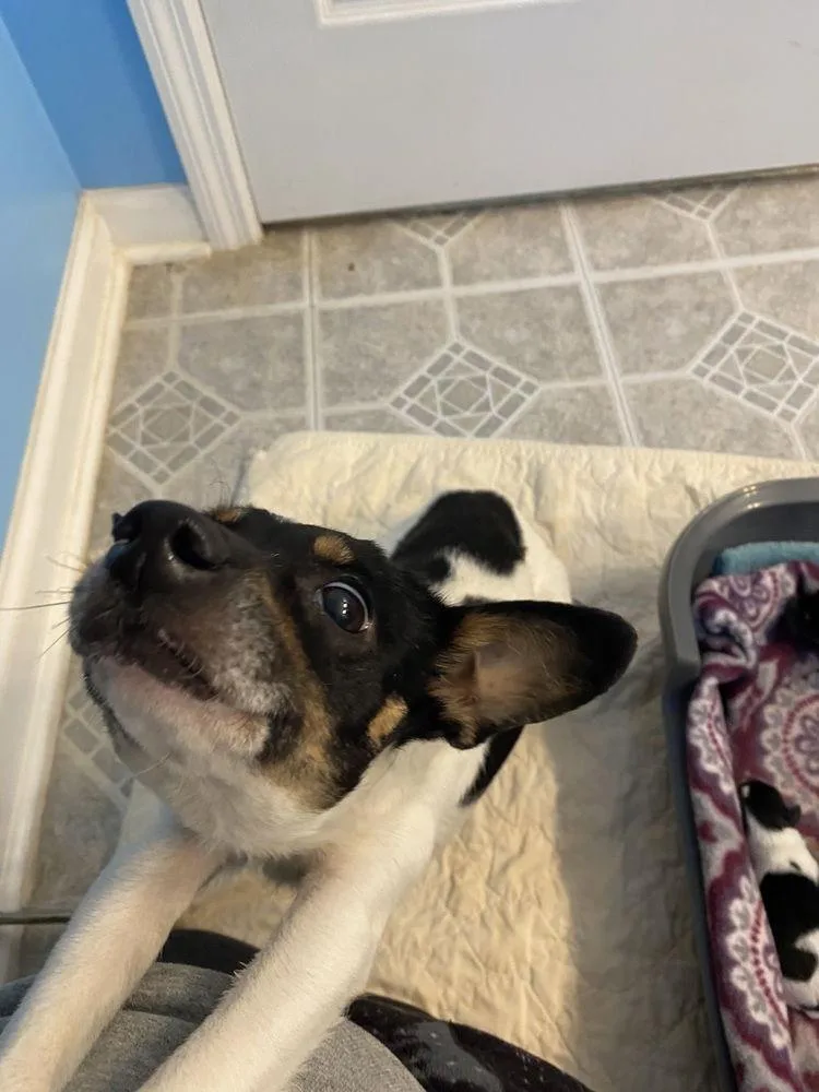 Augustina+~ thumbnail 2