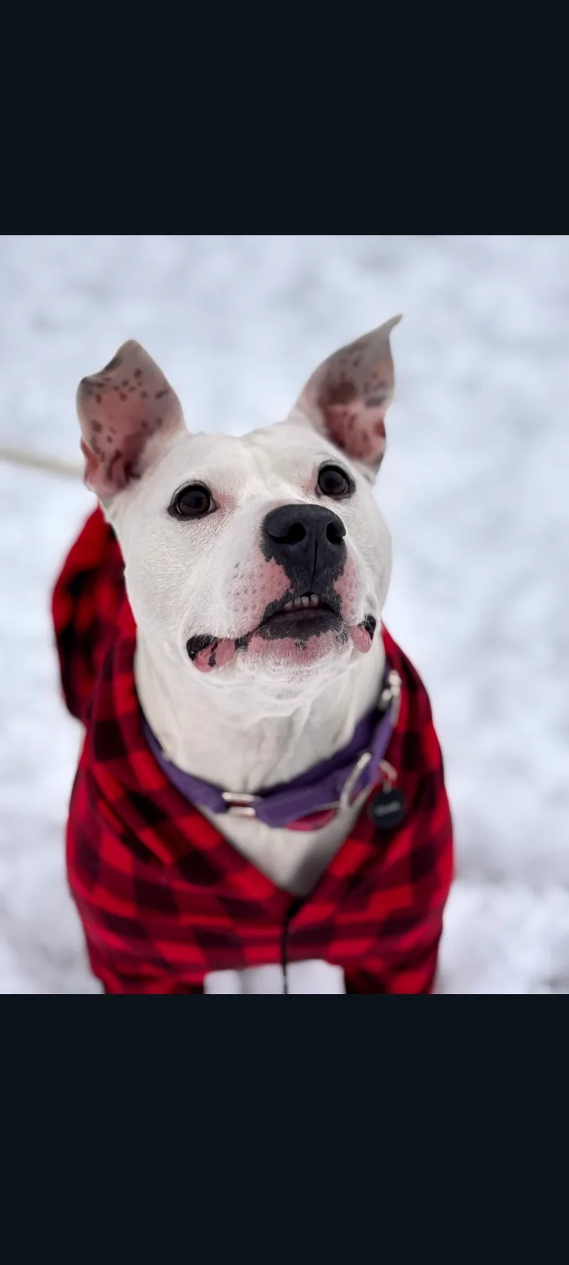 Mama Pearl thumbnail 2