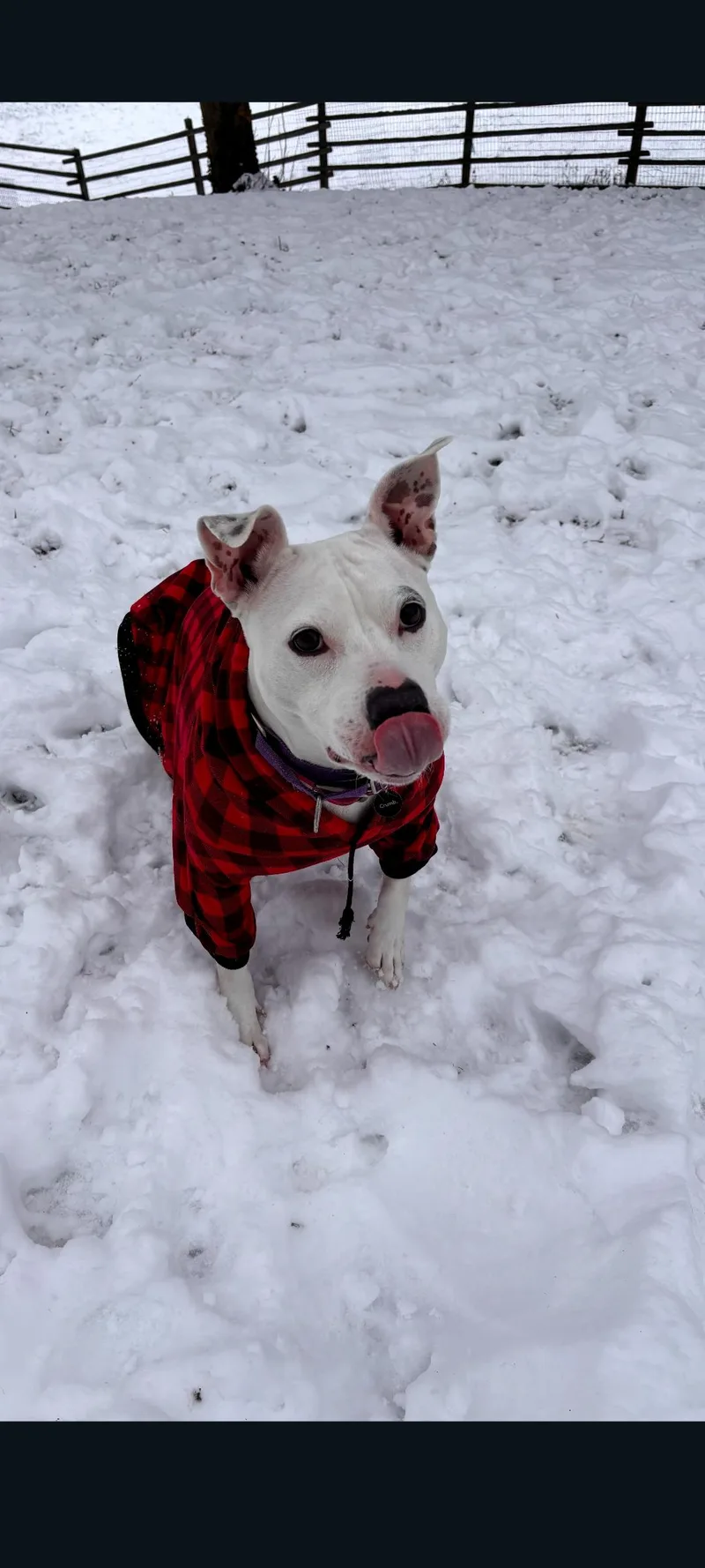 Mama Pearl thumbnail 3