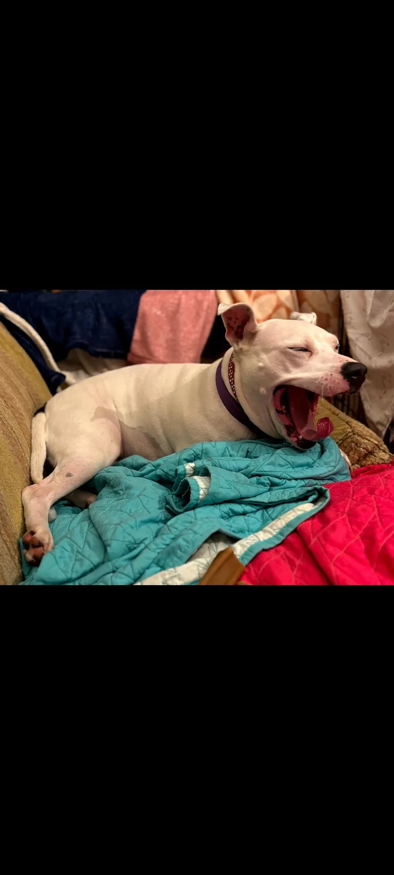 Mama Pearl thumbnail 4