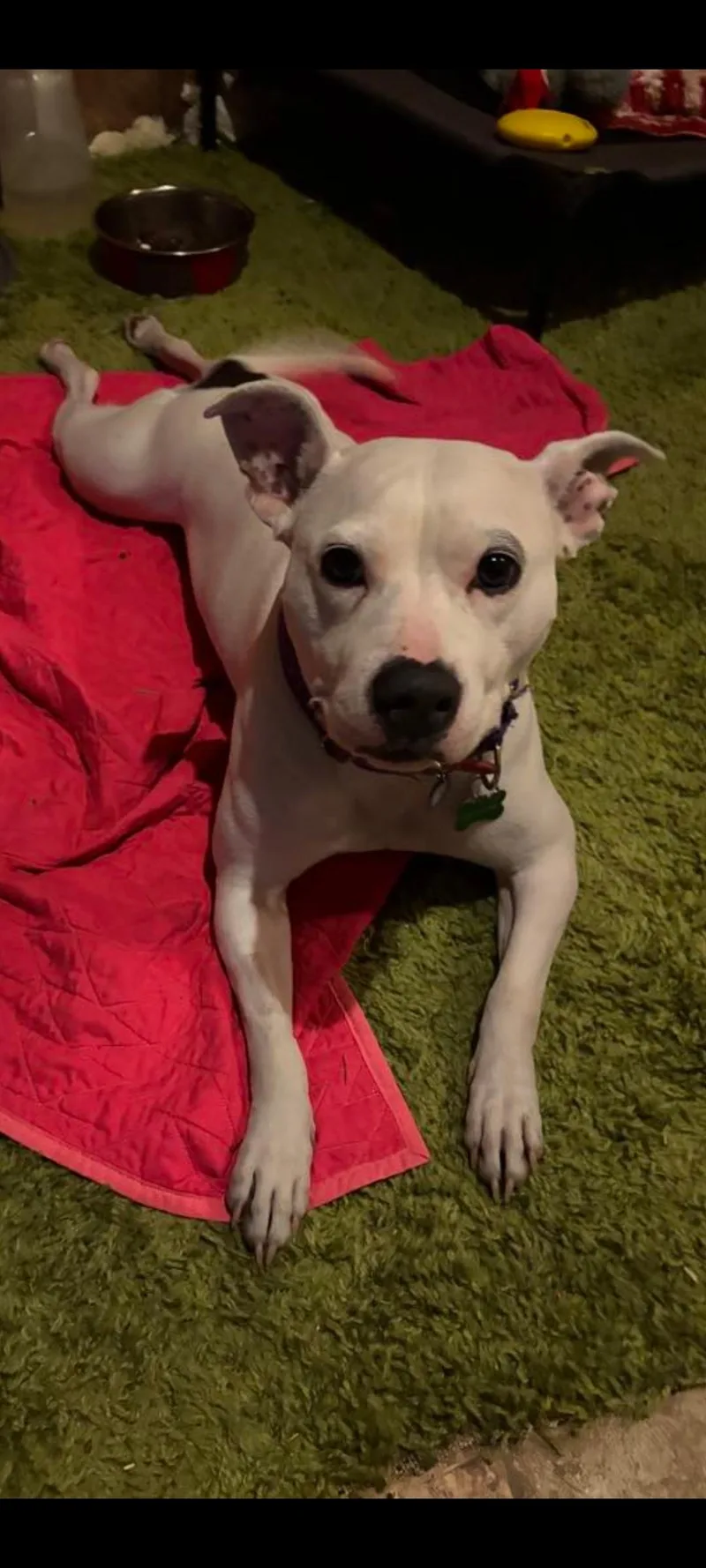 Mama Pearl thumbnail 5