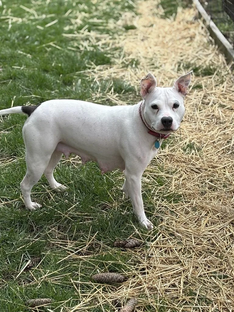 Mama Pearl thumbnail 6