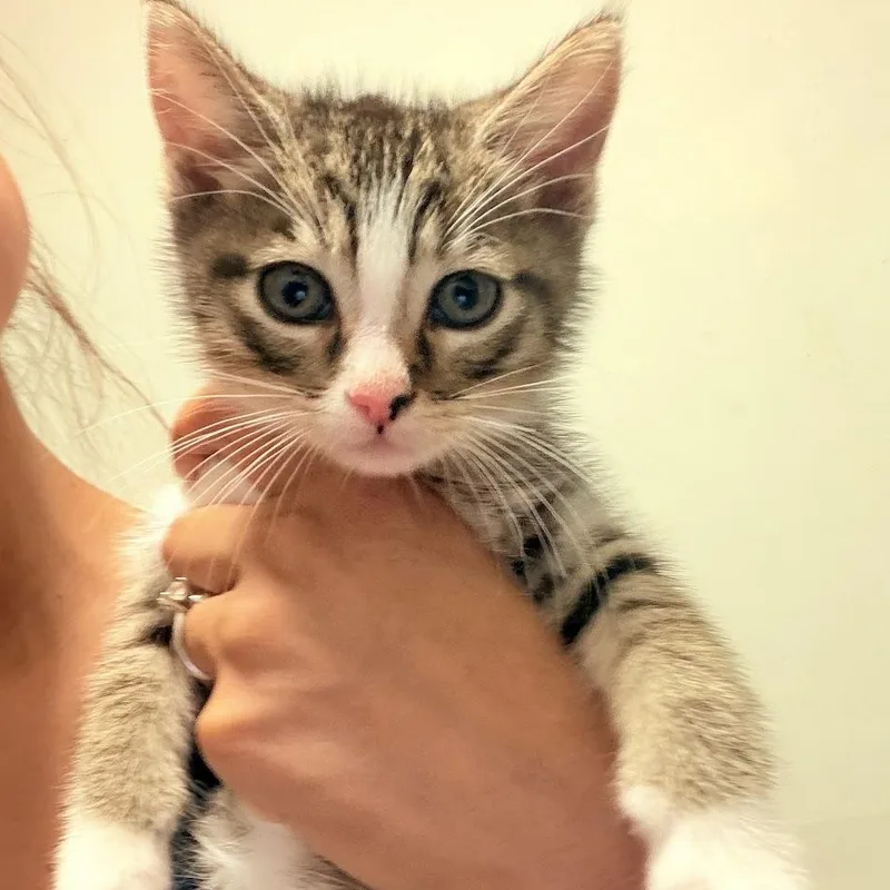 Nico And Sadie thumbnail 2