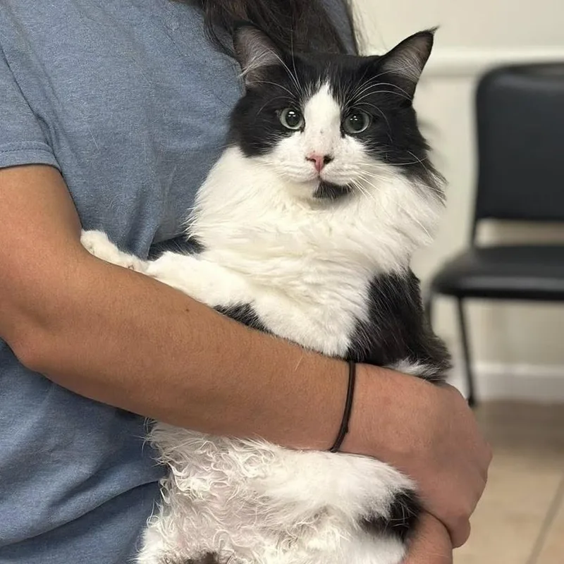 Patrick $ thumbnail 3