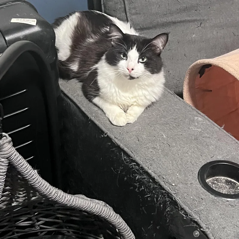 Patrick $ thumbnail 4