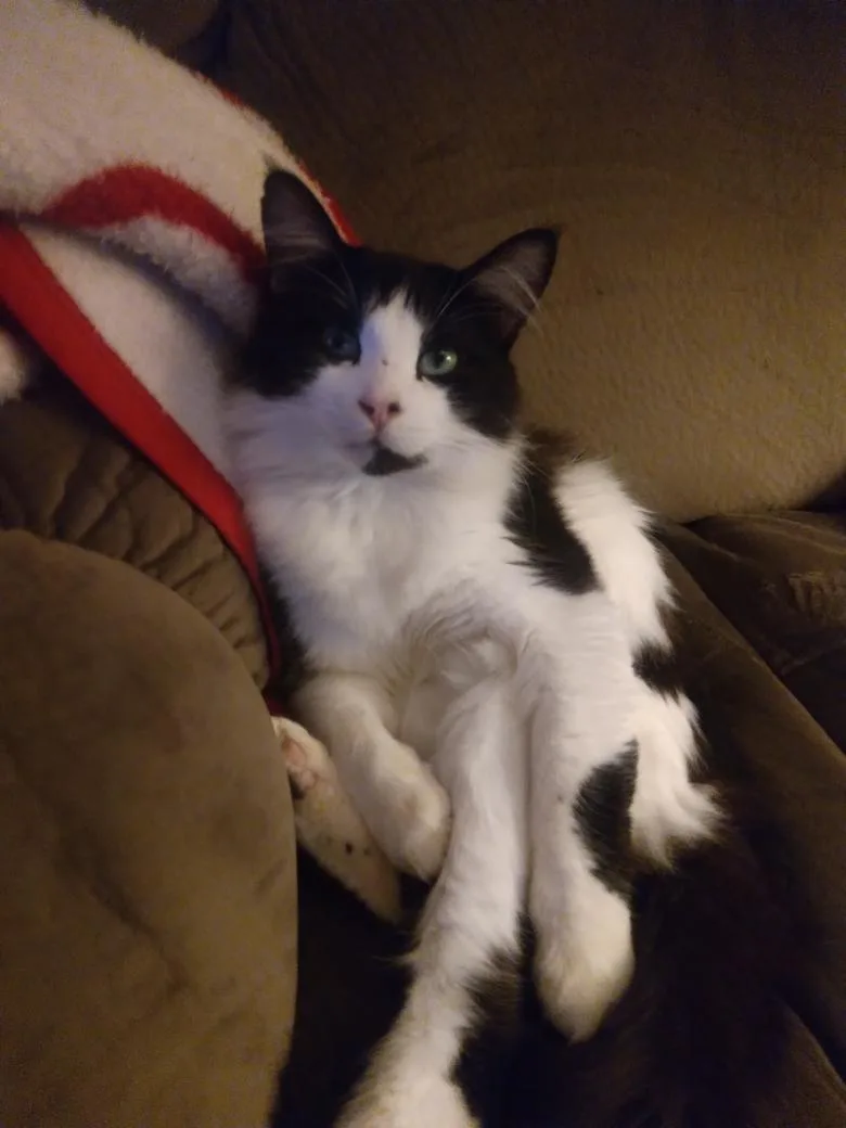 Patrick $ thumbnail 5