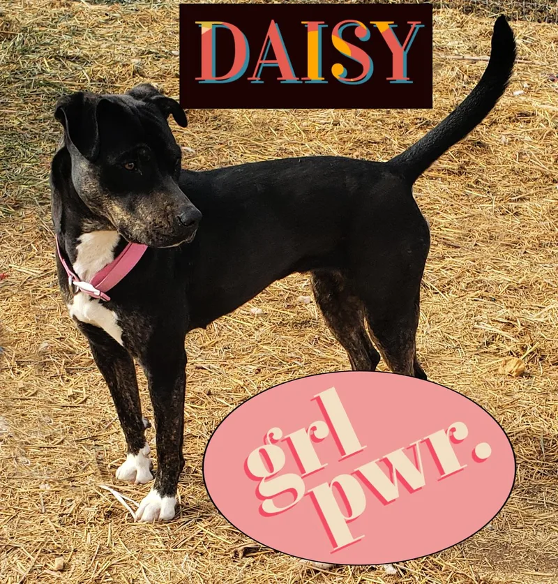 Daisy Please Read Bio thumbnail 3