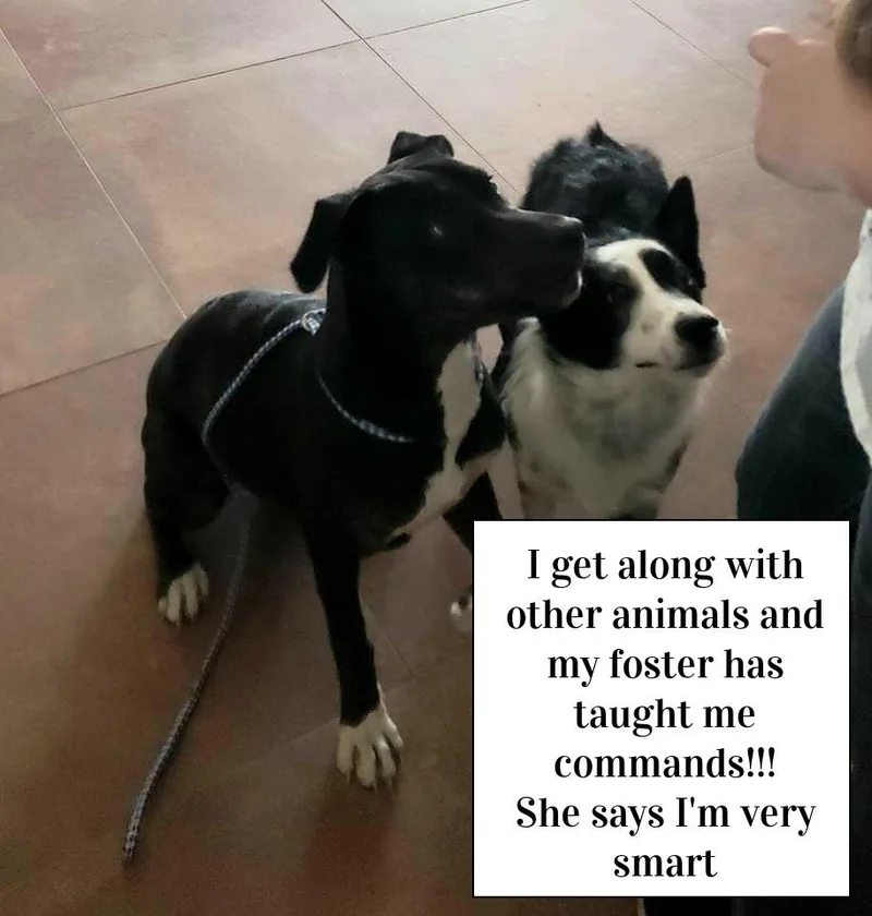 Daisy Please Read Bio thumbnail 5
