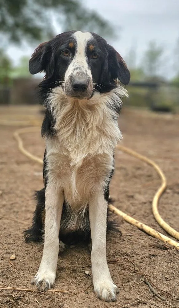 Lightning thumbnail 2