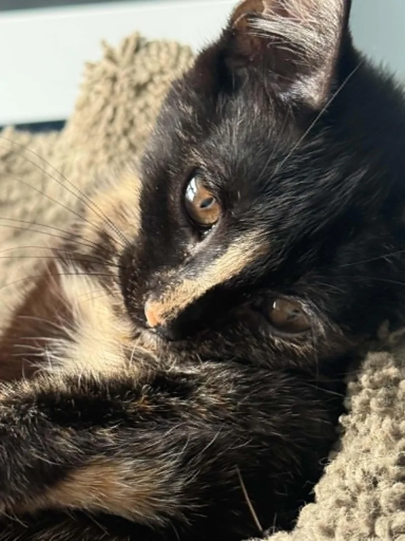 Meredith and Izzy thumbnail 4