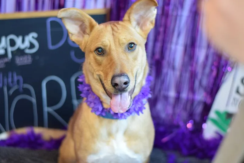 Charming Chance thumbnail 2