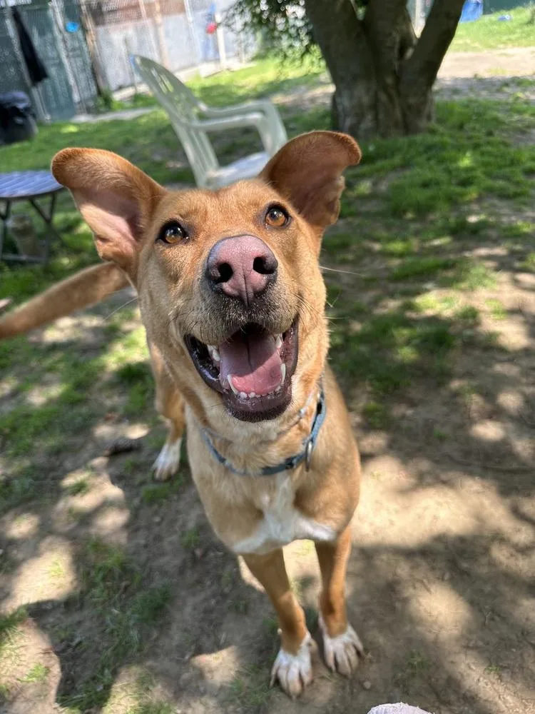 Charming Chance thumbnail 5