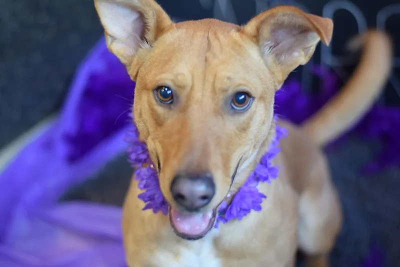 Charming Chance thumbnail 6