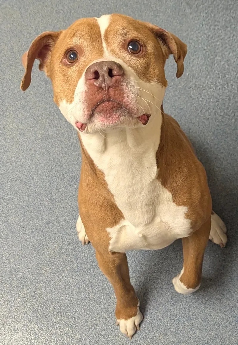Lenny thumbnail 2