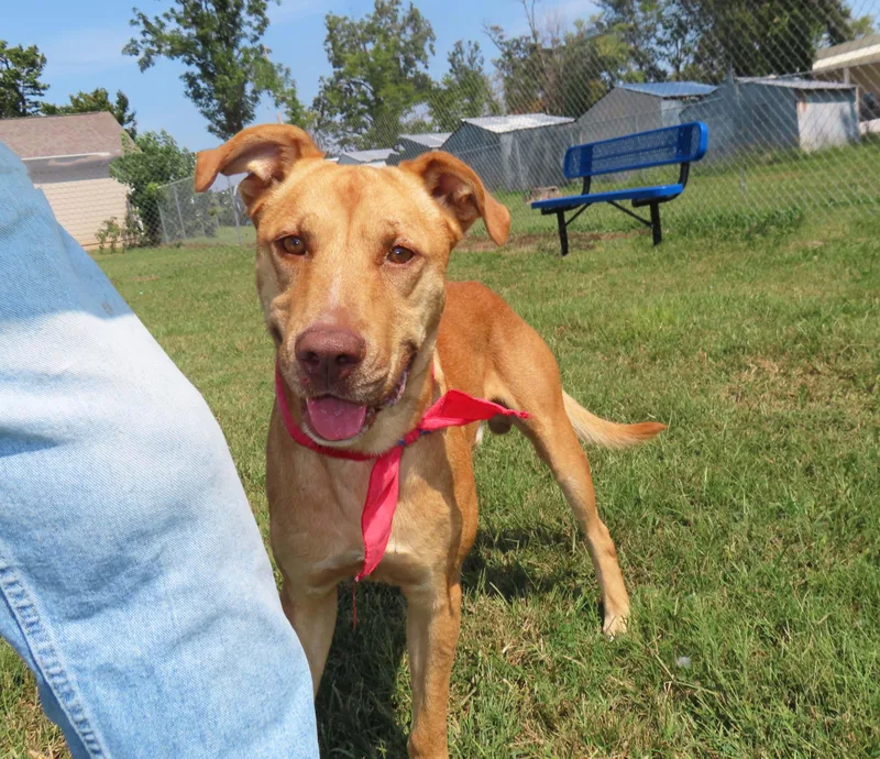 Clifford  C thumbnail 3