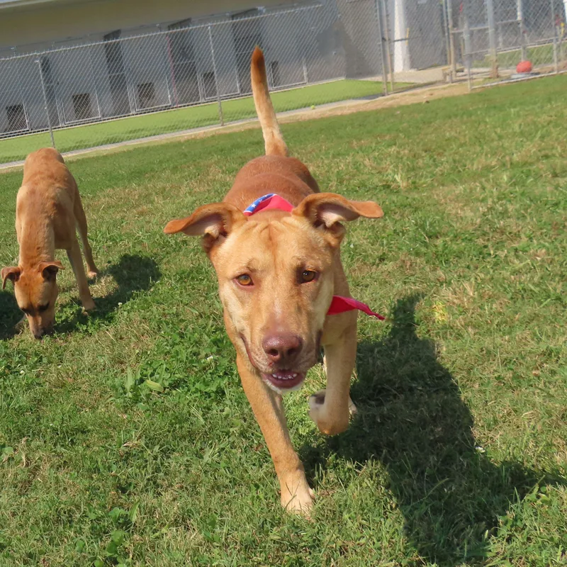 Clifford  C thumbnail 5