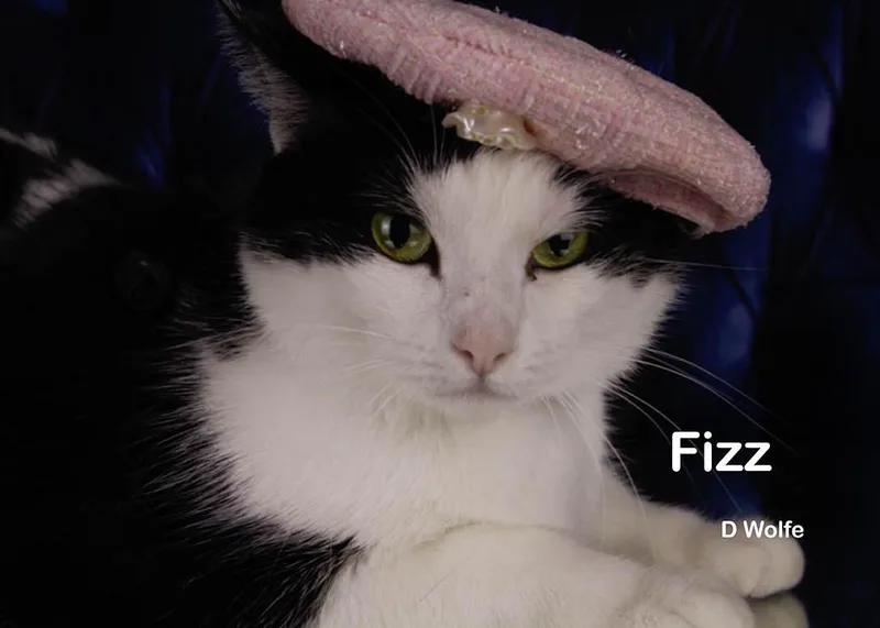 Fizz thumbnail 4