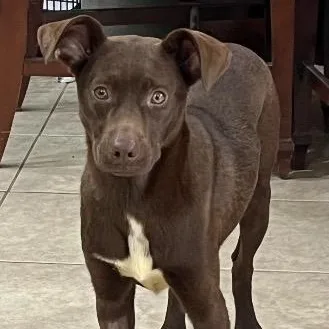 Bat Girl thumbnail 2