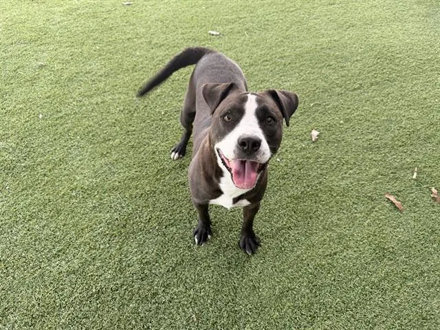 Benny