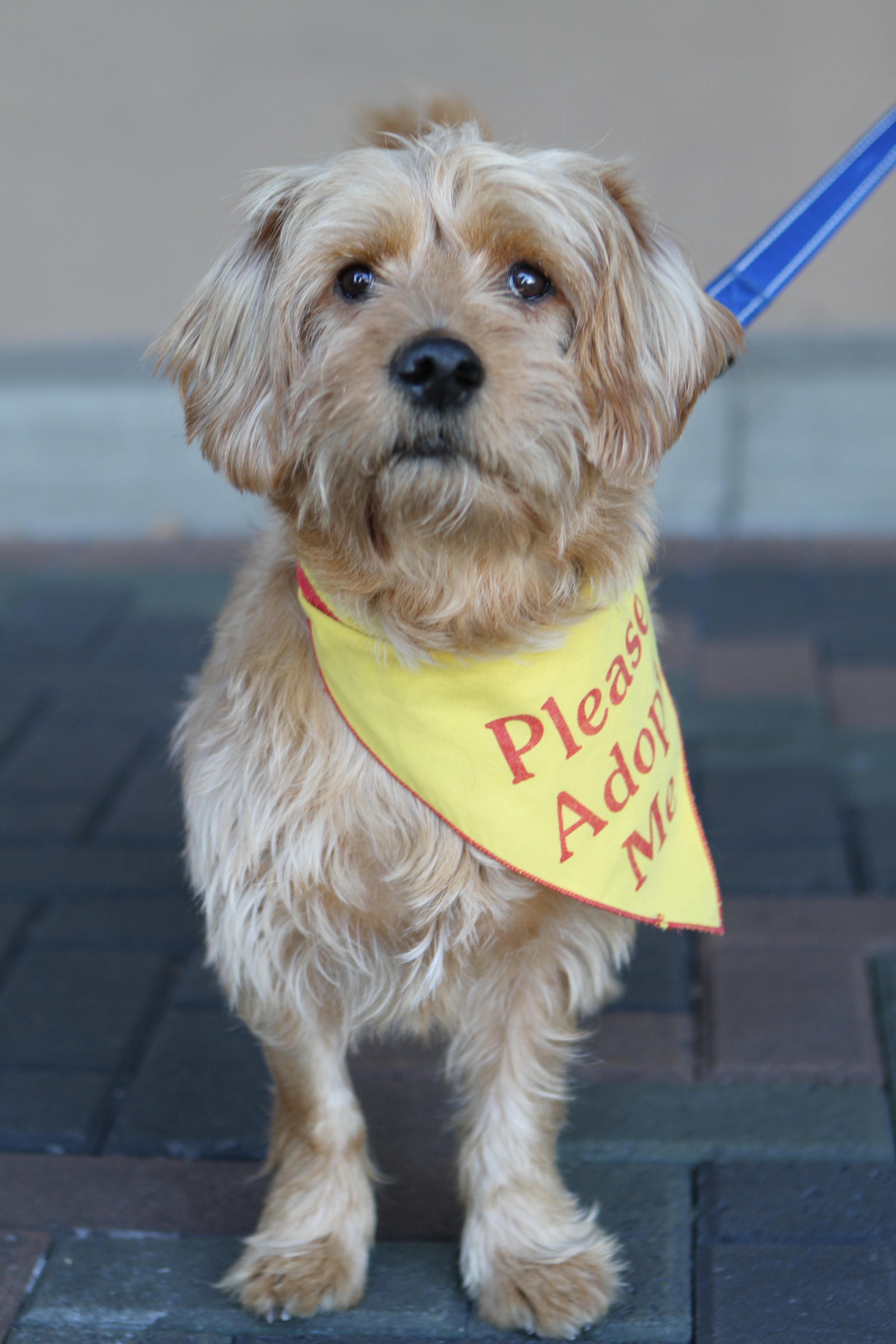 Finnegan thumbnail 5