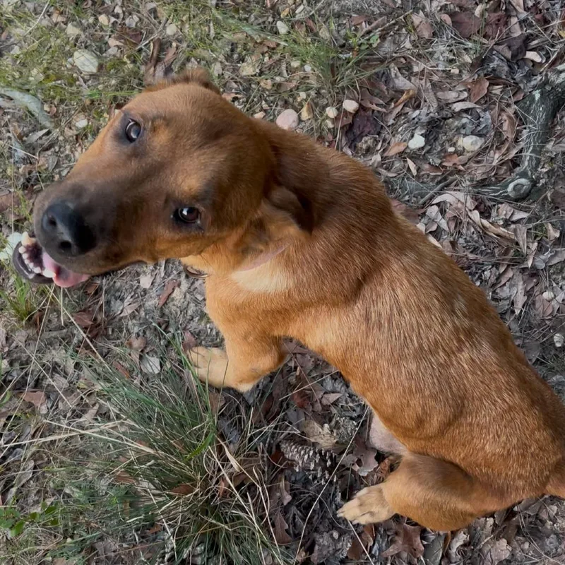 Mama Aspen thumbnail 2