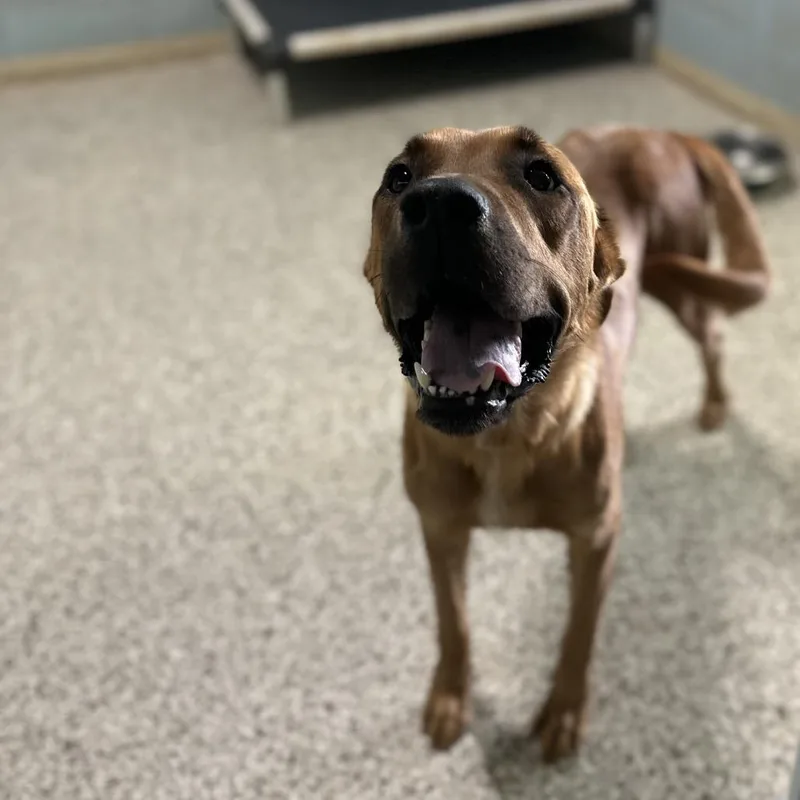 Mama Aspen thumbnail 3