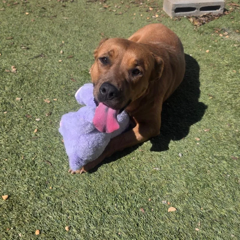 Mama Aspen thumbnail 5