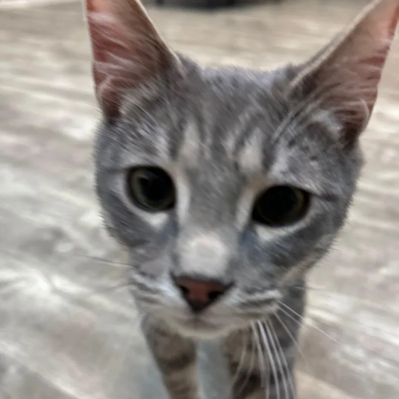 Zero @ Fat Cat thumbnail 3