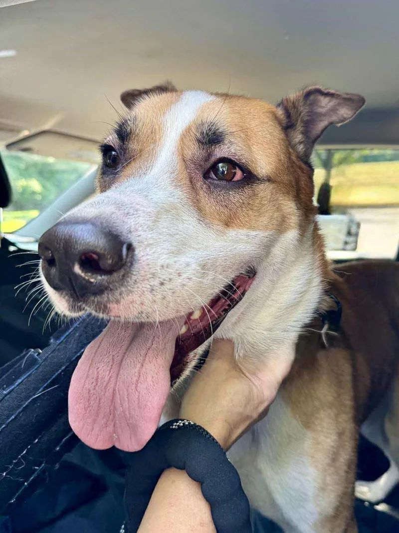 Lucky Jackson thumbnail 2