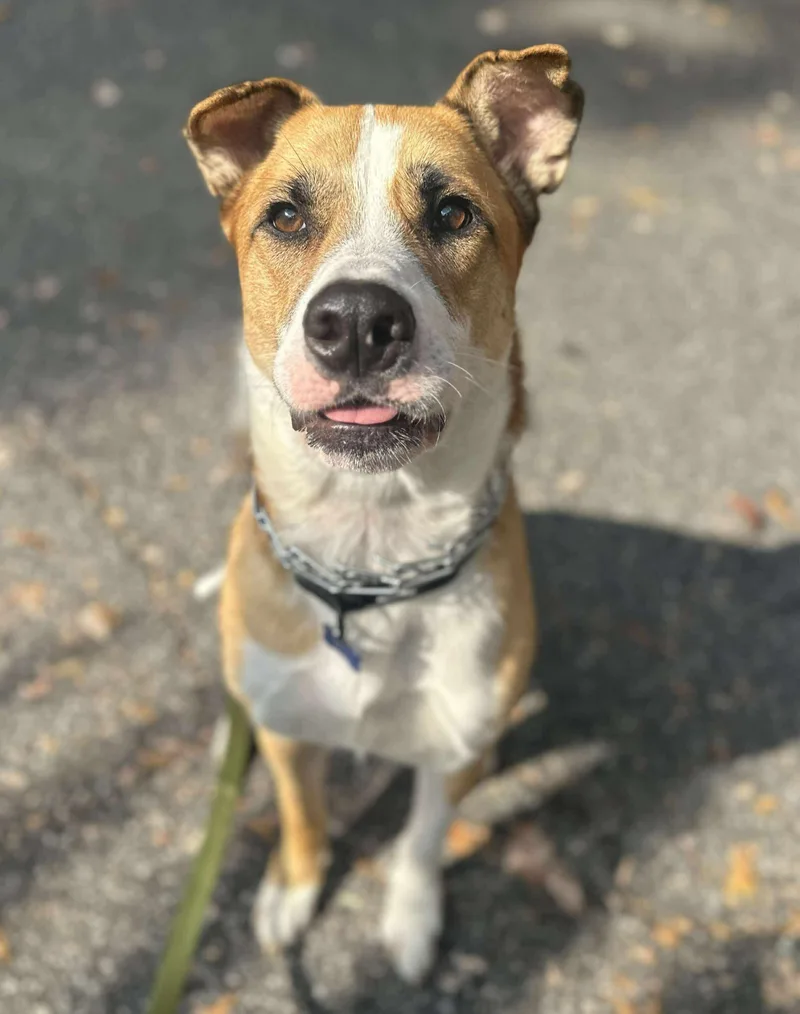 Lucky Jackson thumbnail 3